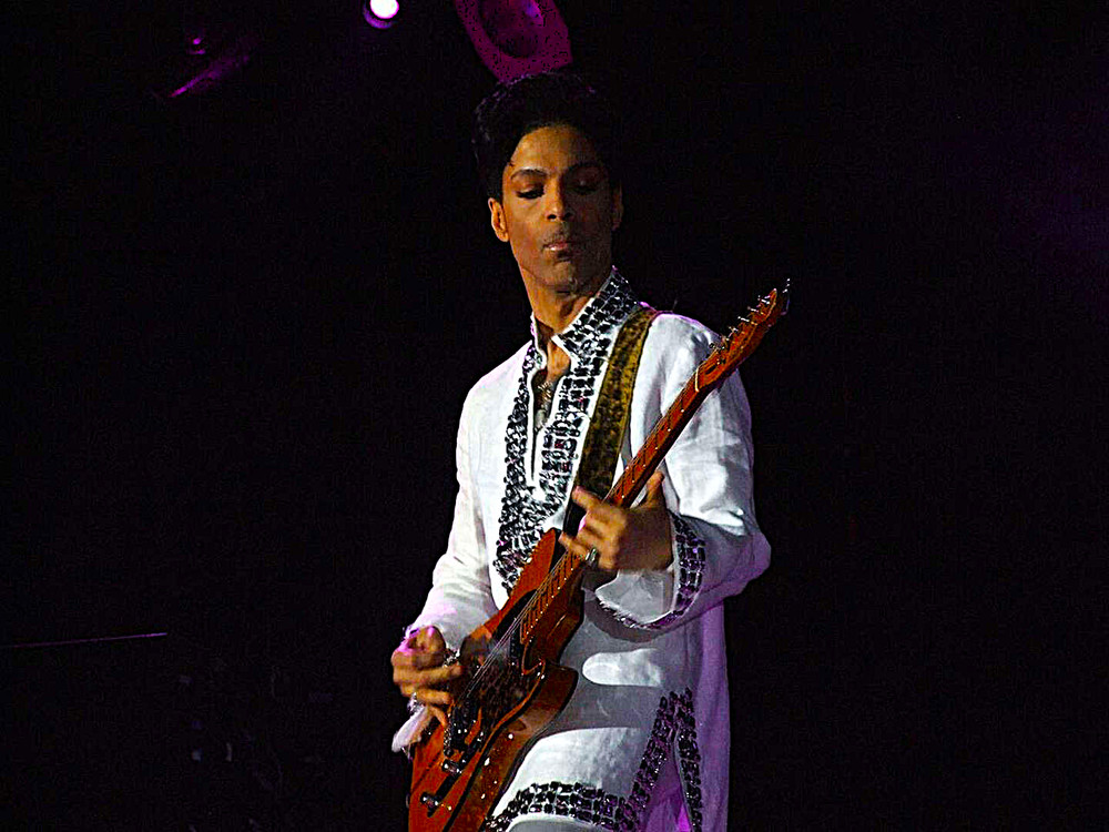 PRINCE - REFRIGERATOR PHOTO MAGNET 3"-5"