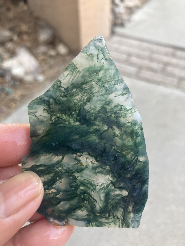 Indian Green Tree Moss Agate Slab