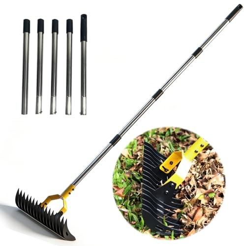 Thatch Rakeide Lawn Dethatcher Rake, Heavy Duty Rake for Dethatching with 15" W