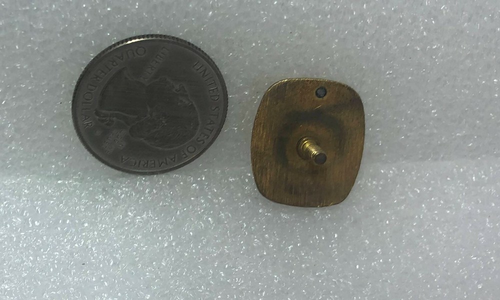Delta Lines Safe Driving 1 Year Screw On Pin