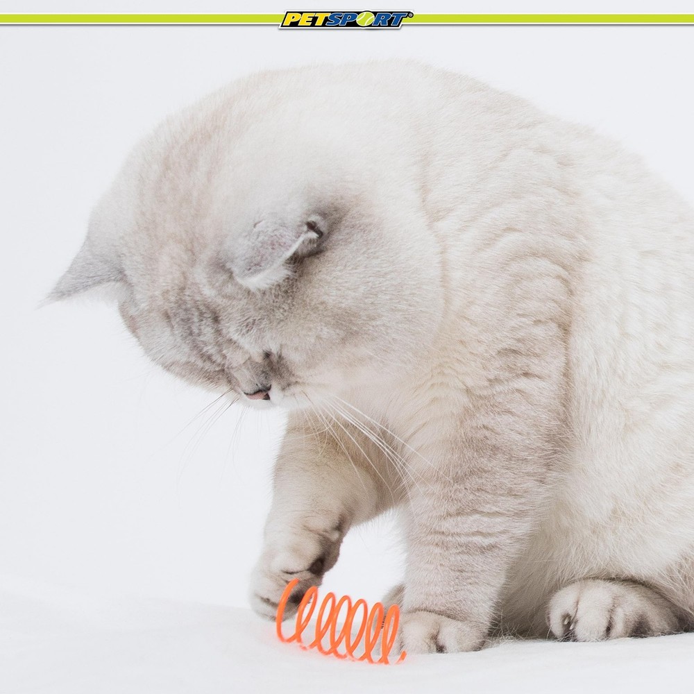 8 Pack Large Cat Springs Interactive Toy