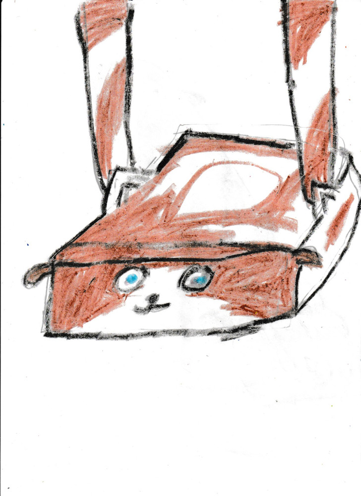 Animatography Starter Deck 6: LANGUID LOONS