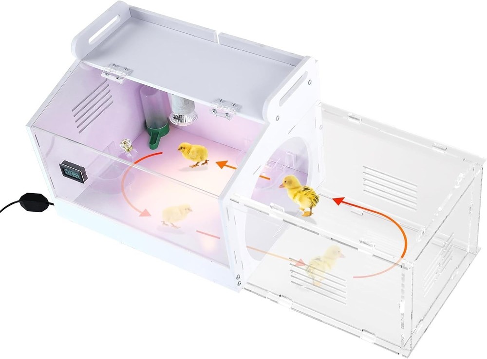 Iarge-Scale Chick brooder Box Quail Cage Egg Incubator Chick Starter Kit Chicken