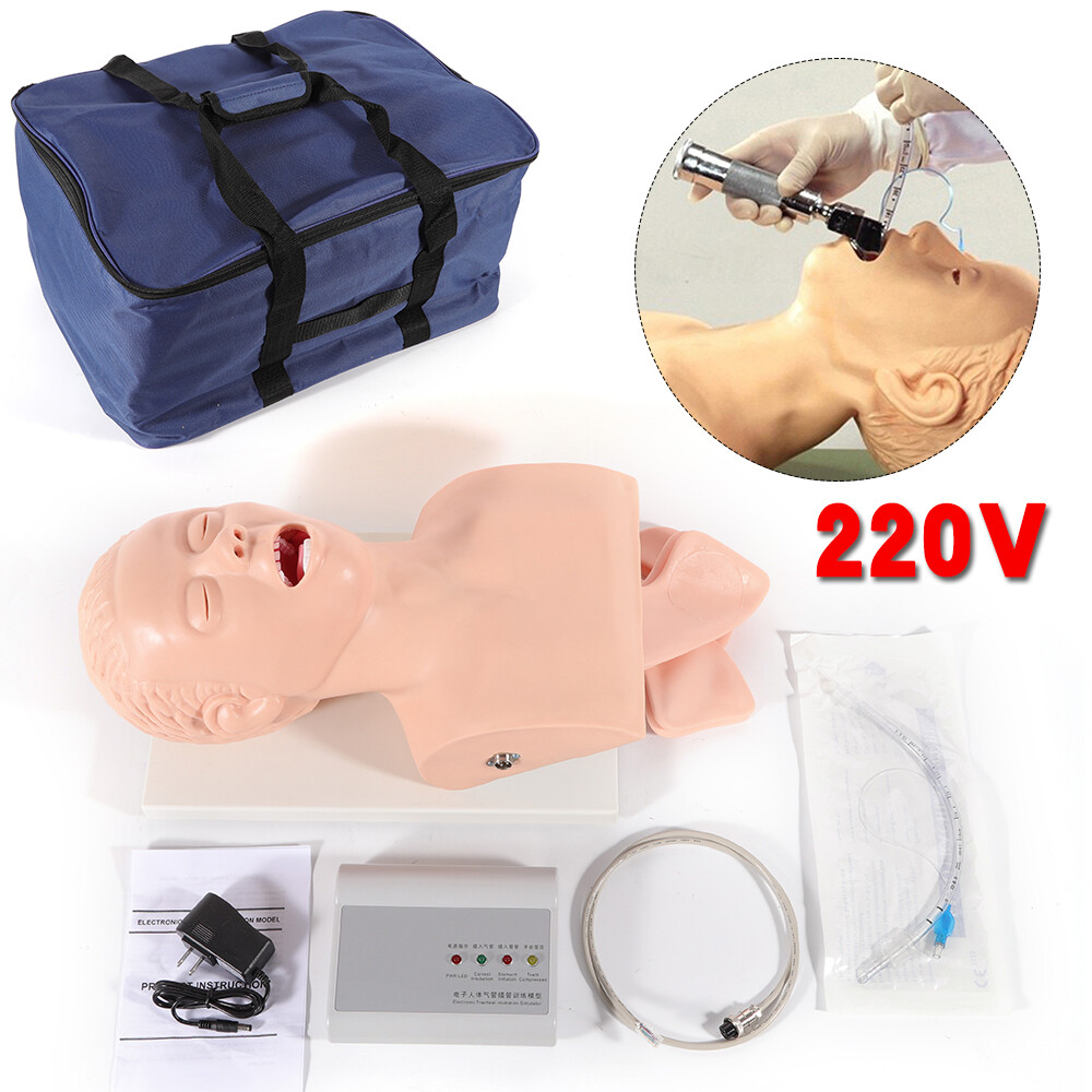 Intubation Manikin Study Teaching Simulator Airway Management Trainer Tool Model