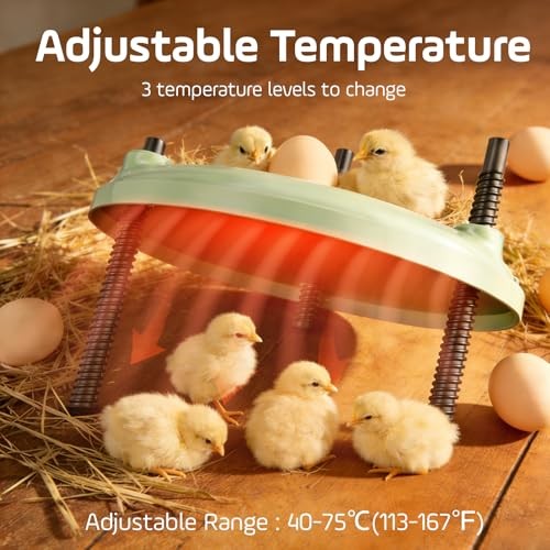 Brooder Heater for Chicks,12inch Metal Heating Plate, Adjustable Height &