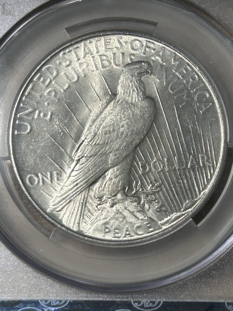 1935 Peace Dollar CACG MS 61