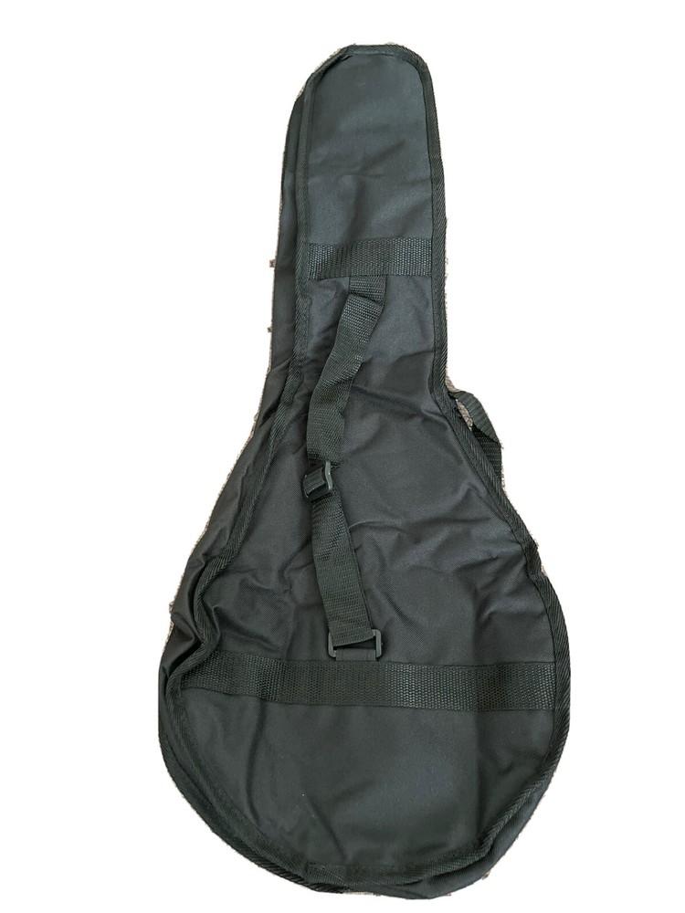 Mandolin gig bag