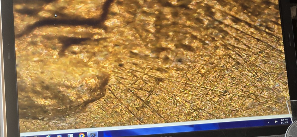 1983 Lincoln Cent. Check Out Pics! Nice Luster Too!