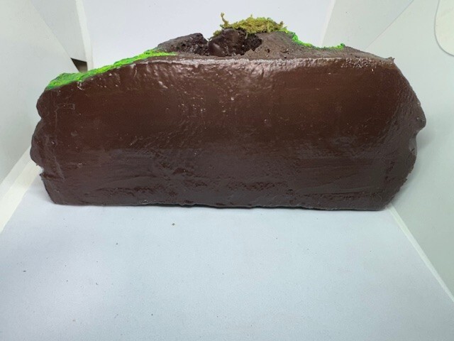 Medium Sub-tropical Magnetic Ledge With 5 Feeder Cups