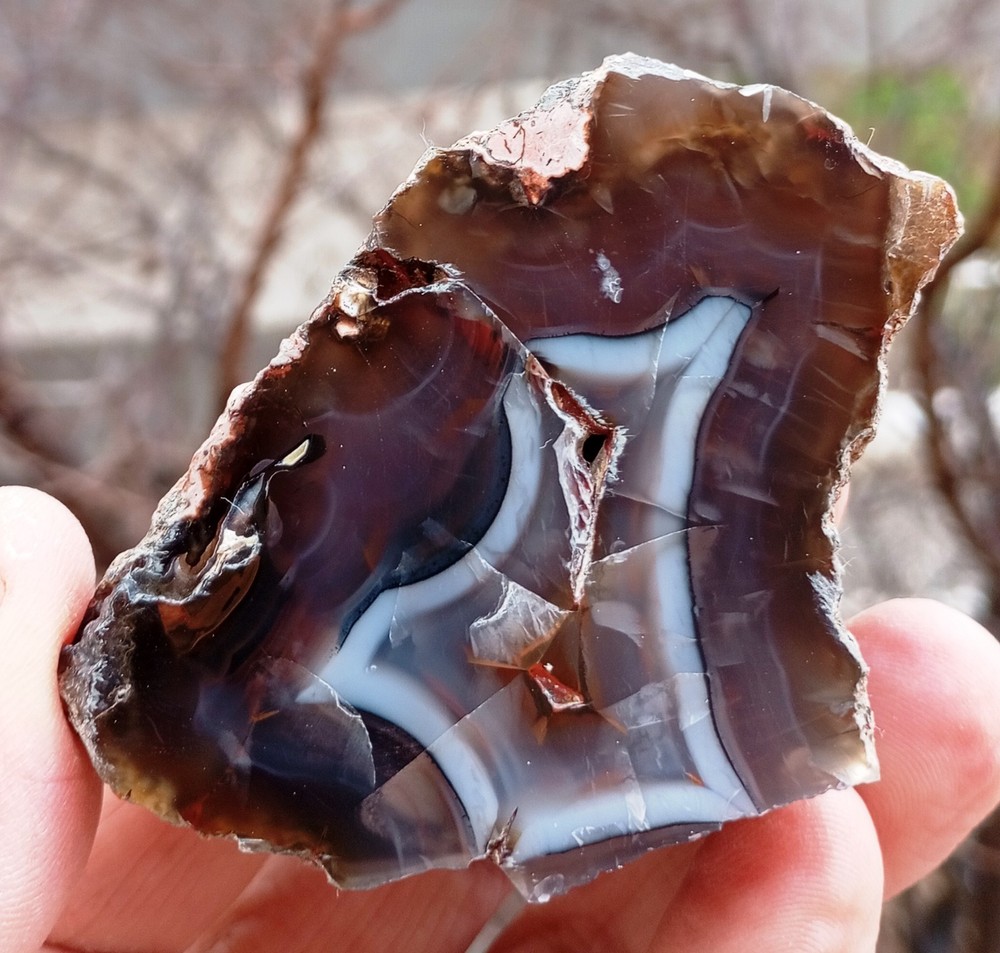 Mirrror Polished White Lace Black Agate Pair Uv Reactive