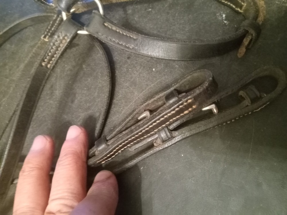English headstall and cavesson Lemetex