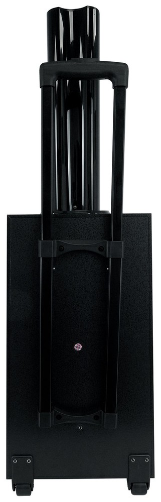Technical Pro WASP2 10'' Portable Rechargeable LED Party Speaker+(2) Mics+Remote