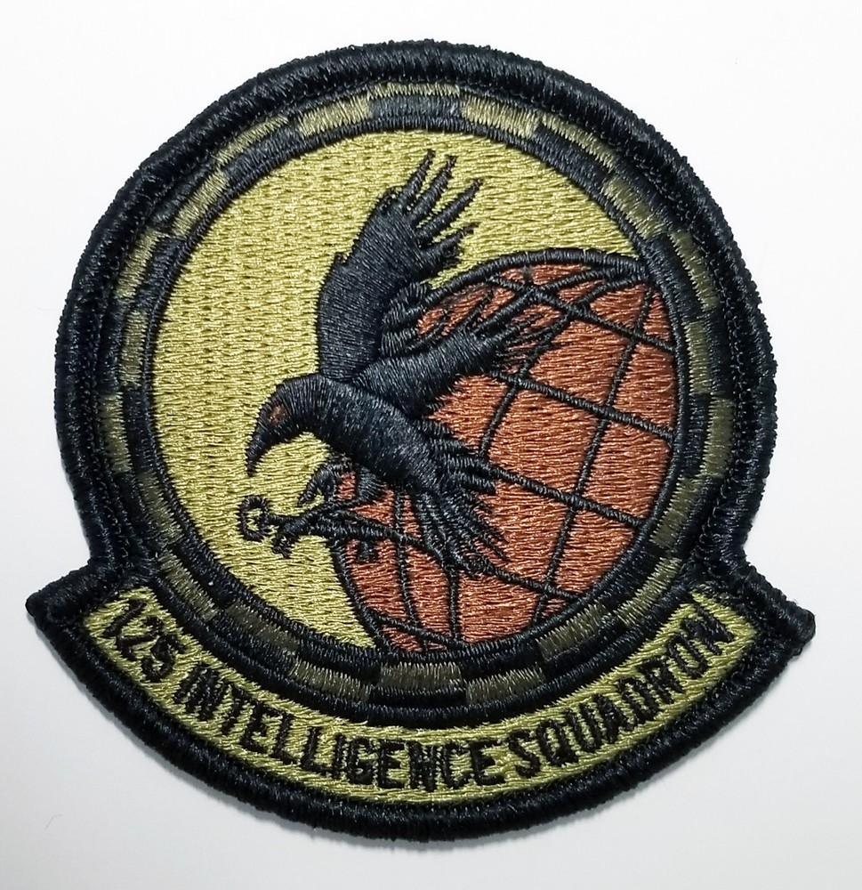 Air Force 125th Intelligence Squadron Subdued Hook Back Patch