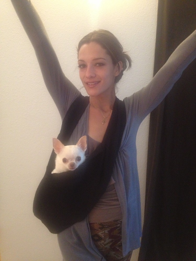 Heartpup Dog Sling