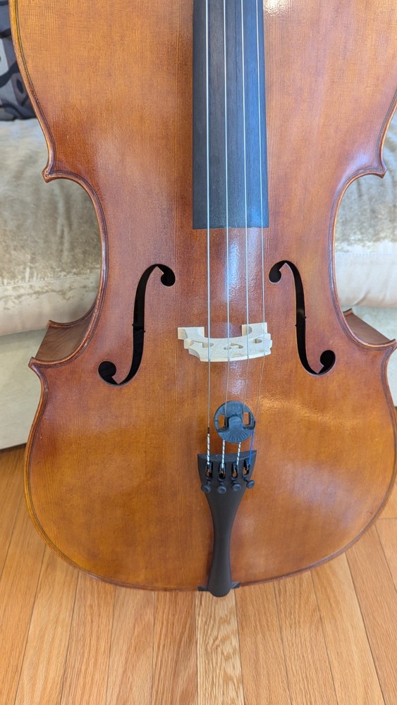 4/4 2012 Eastman Strings Cello