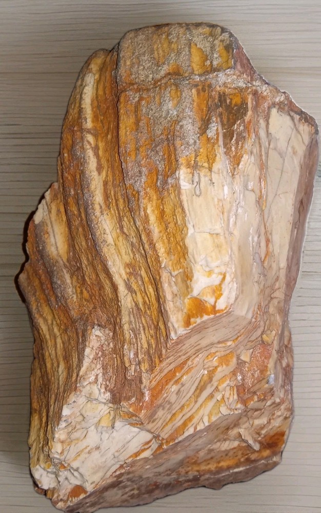 Petrified Jasper Wood Rough 1 lb