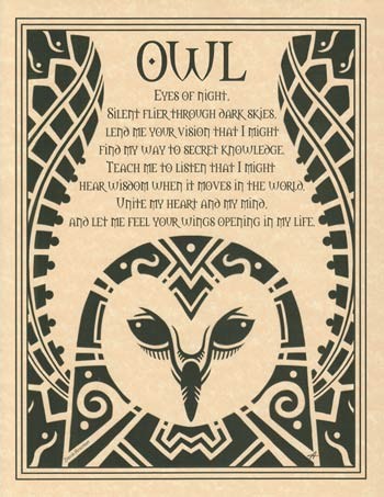 Owl poster