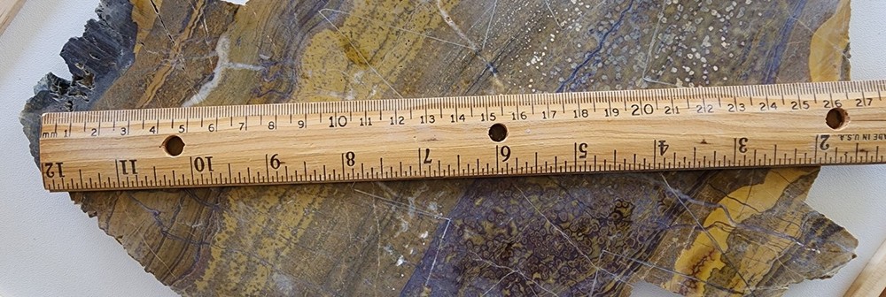 Orbicular Jasper Large Lapidary Slab