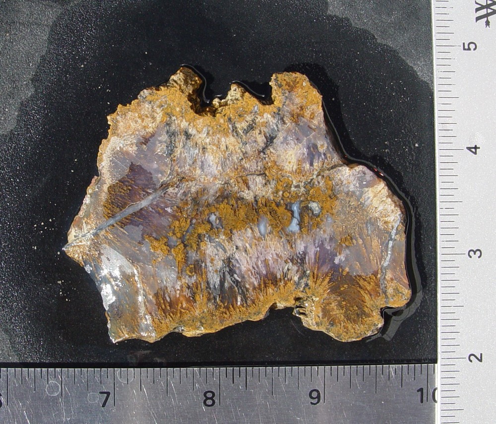 Sagenite Agate Lapidary Slab                    T1198