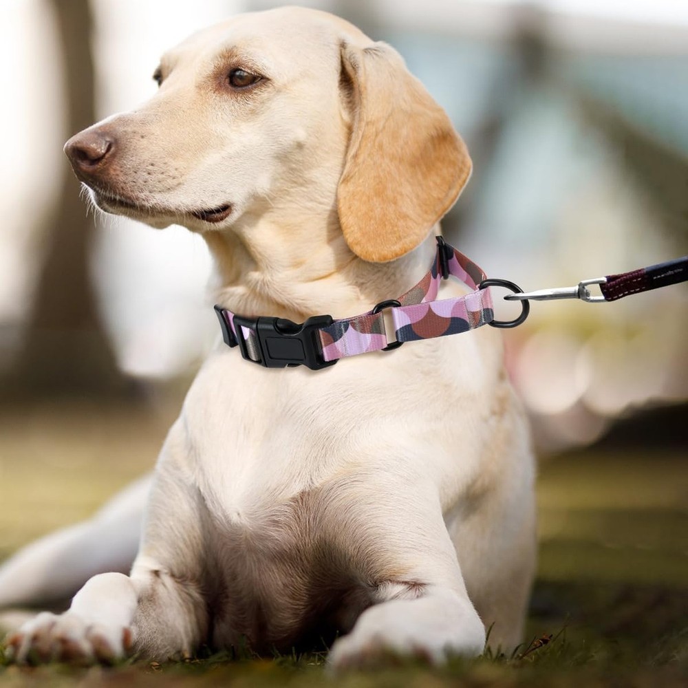 Martingale Dog Collars,Adjustable Soft Nylon Quick Release Buckle,No Pull Tra...