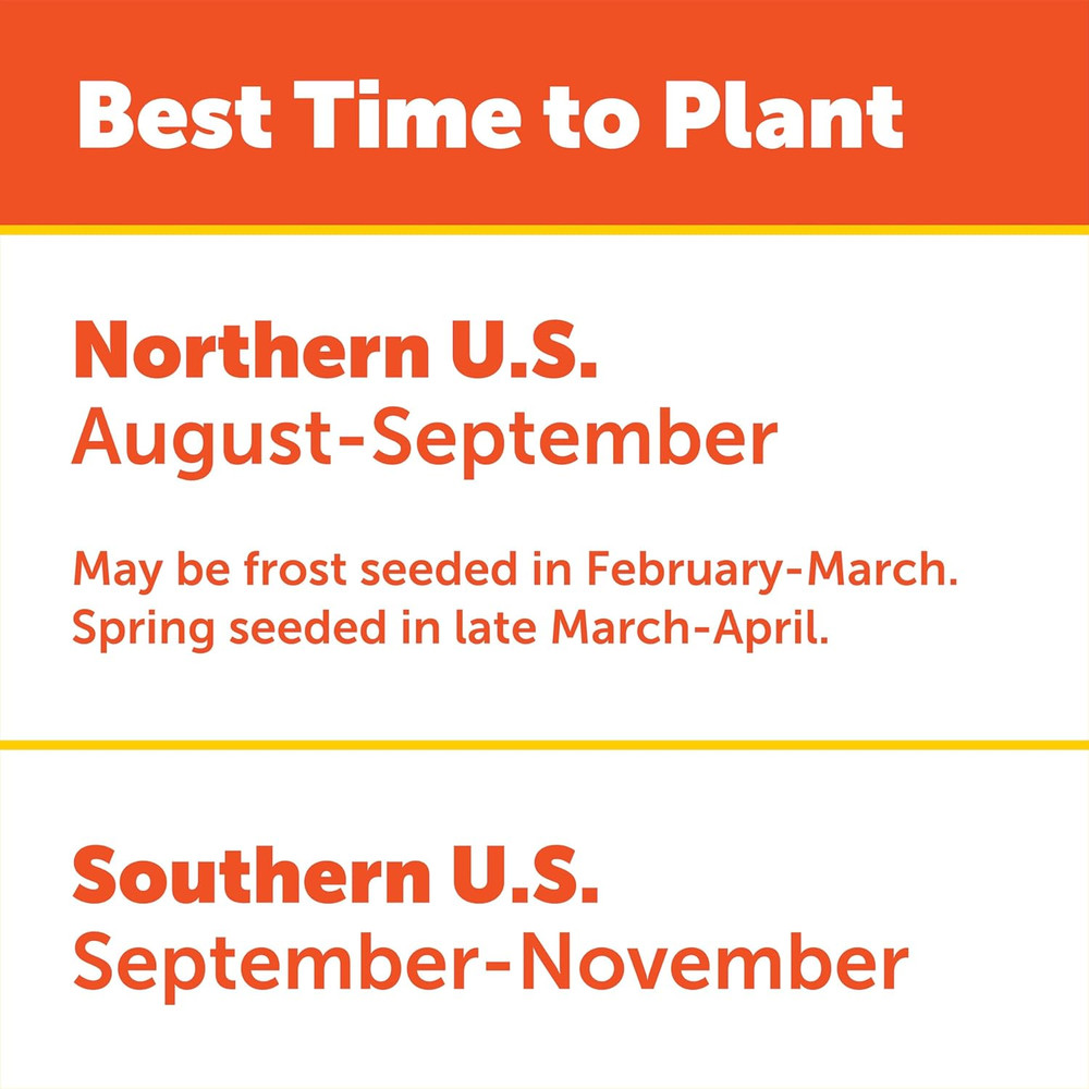 Pennington Durana White Clover