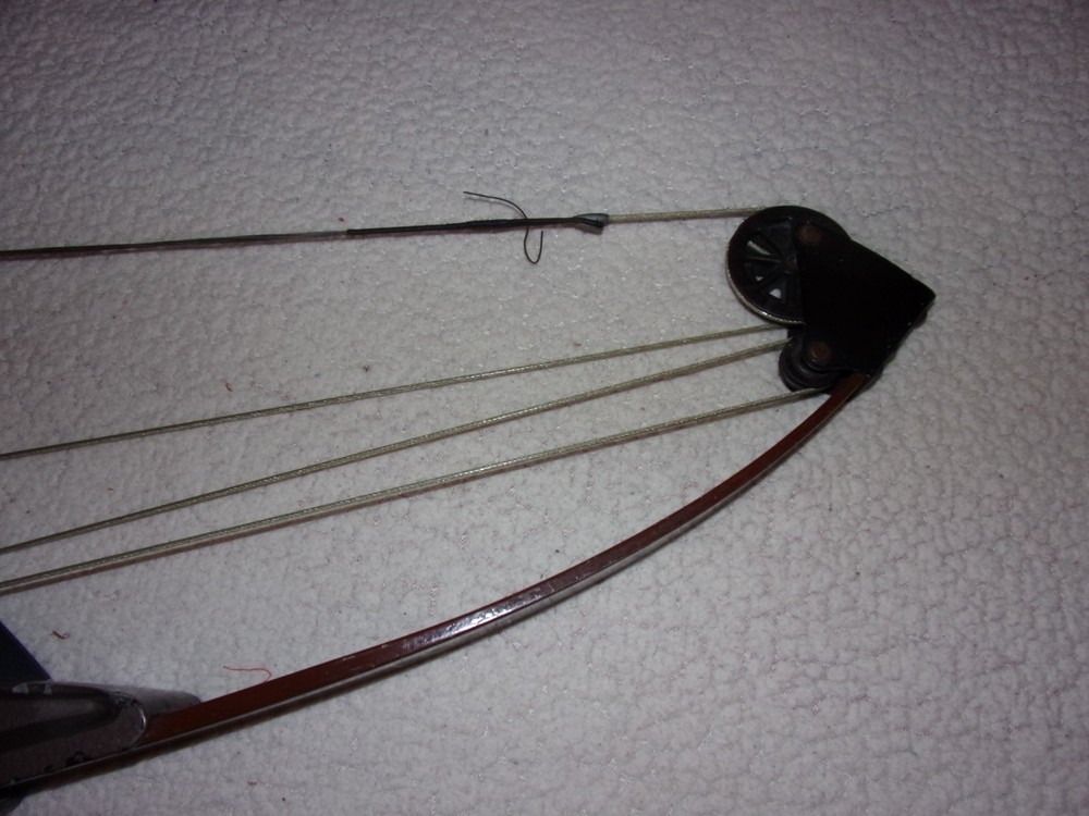 Bear Whitetail Hunter Vintage Compound Bow