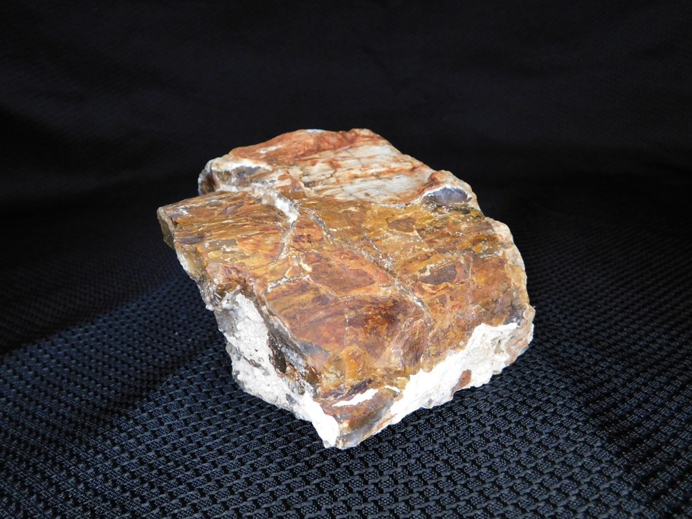 Translucent Agatized and Opalized Limb Cast Central WA Vintage 2 lbs. 14oz