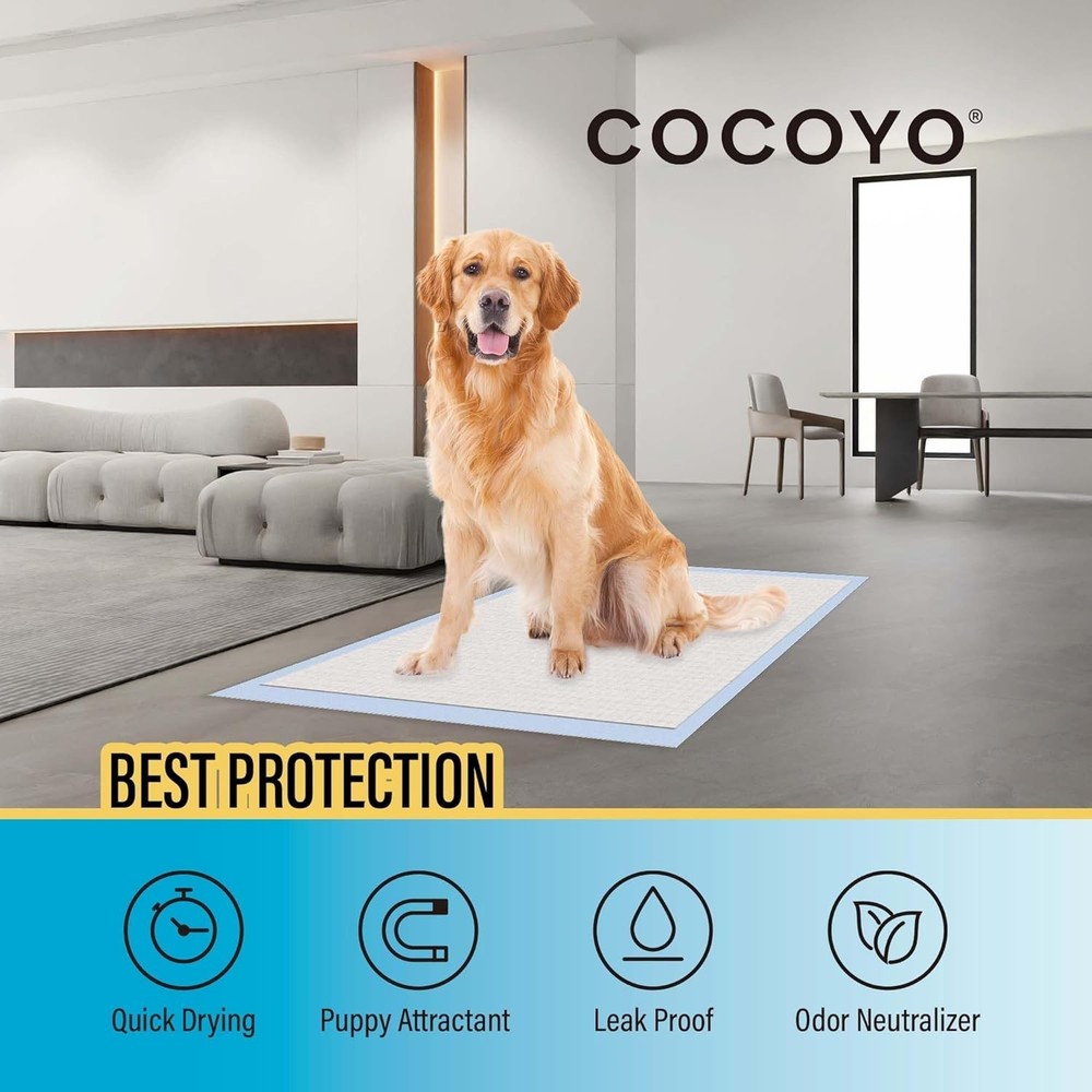 30 Count Dog Training Pads | Super Absorbent, All-Life Stages Use