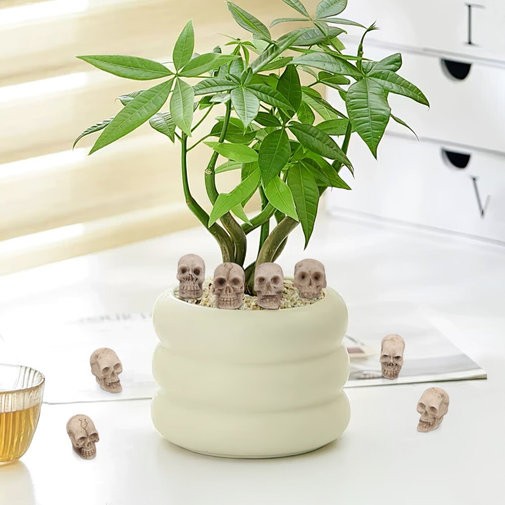 20pcs Skulls Creative Funny Skull Skull Model Decoration Desktop