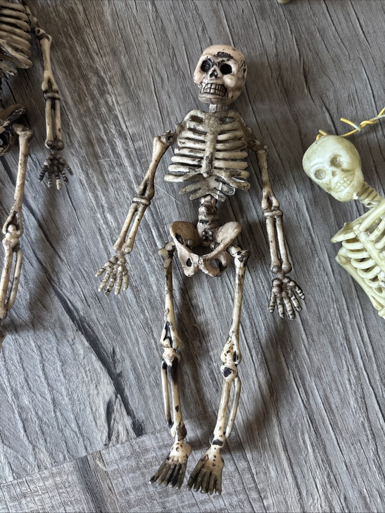 1/6th Scale Skeleton Model Halloween Decoration