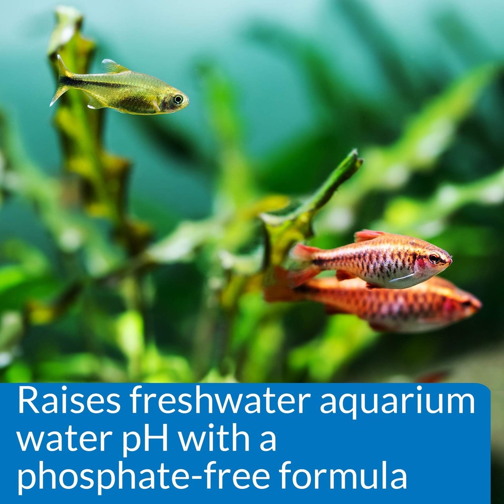 Api Ph Up Freshwater Aquarium Water Ph Raising Solution 1.25 Oz Safe For Fish