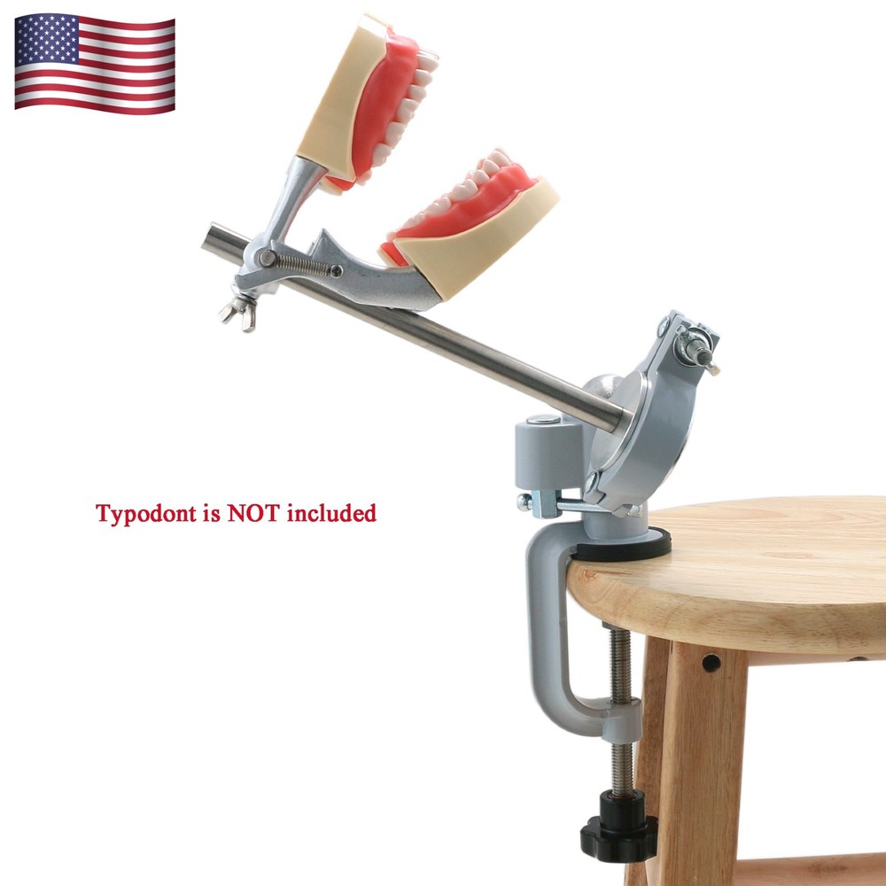Columbia Dentoform 860 Dental Typodont Mounting Pole With 32pcs Removable Teeth