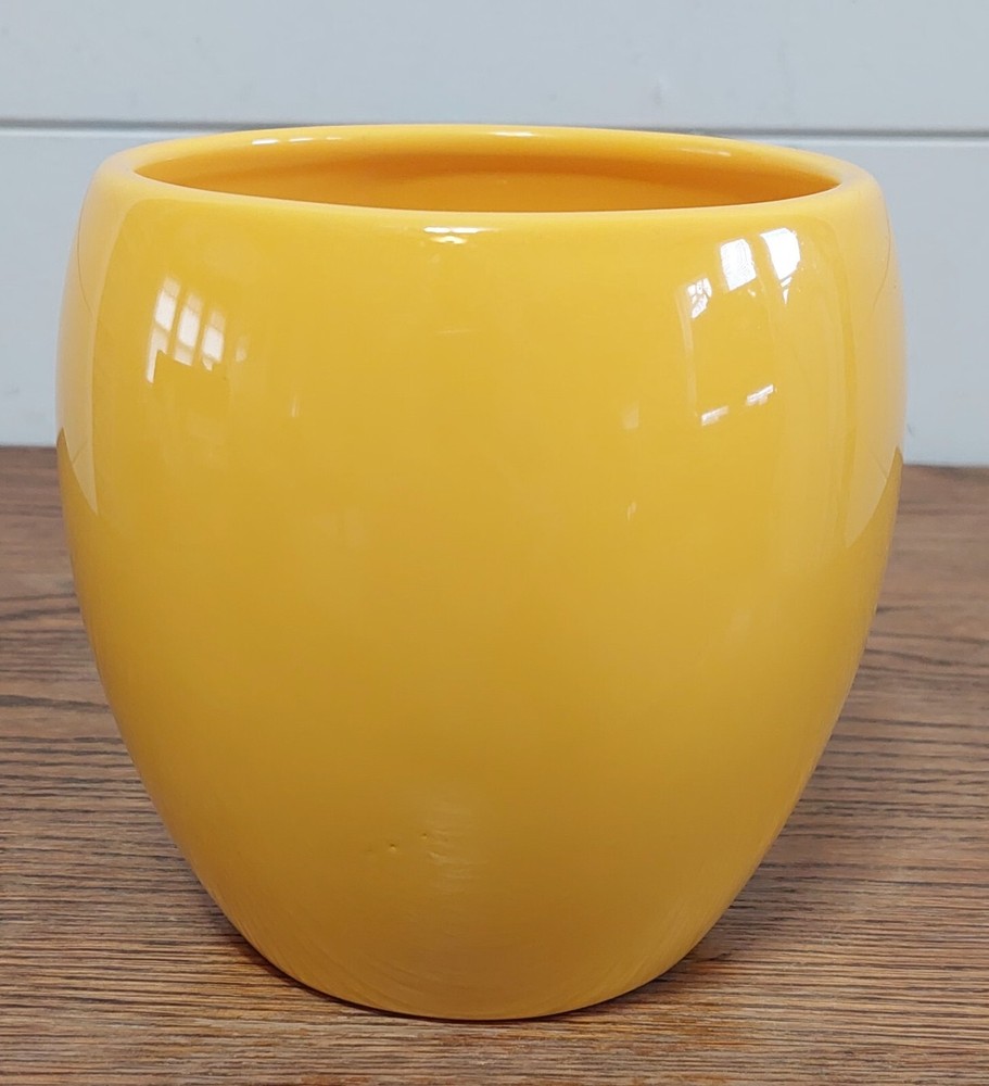 Teleflora 5 inch "Bee Well Soon" Yellow Planter