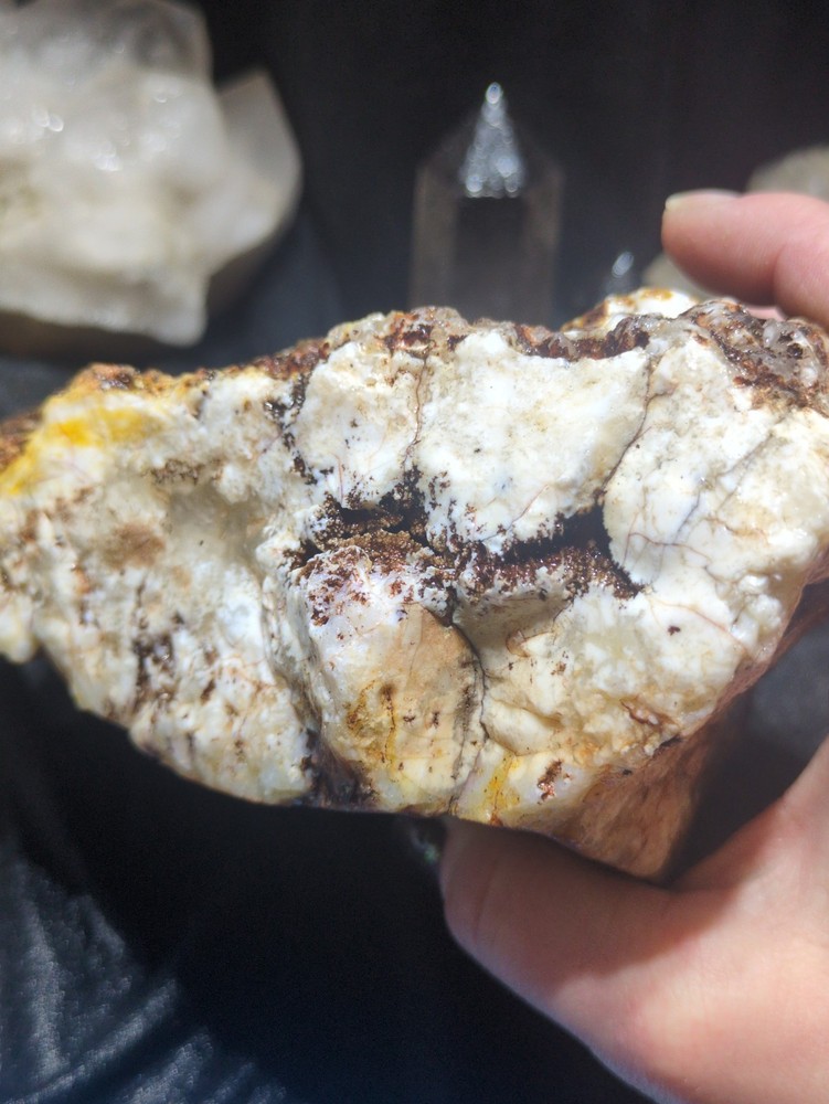 Graveyard Plume Agate w/ Dendric Specimen Natural Form (4lbs 12oz)
