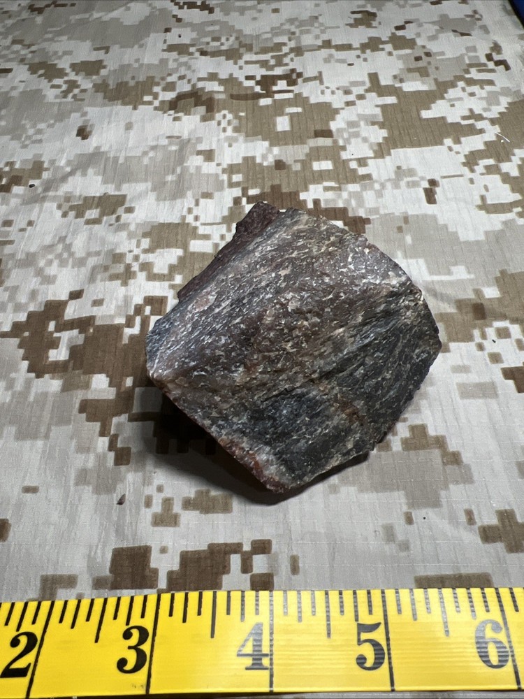 Fossil T-Rex Bone Fragment
