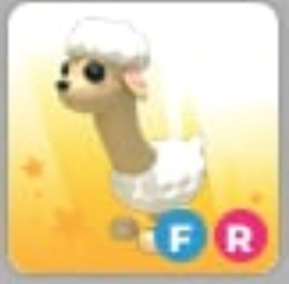 Sheeeeep | Adopt Now