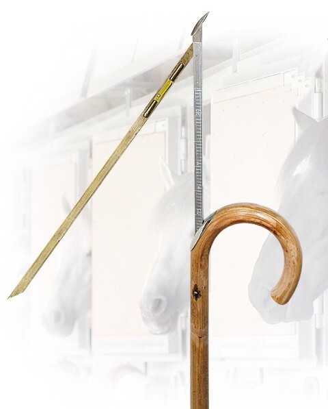 HYPOMETER BAMBOO STICK STICK STICK HIPPOMETER