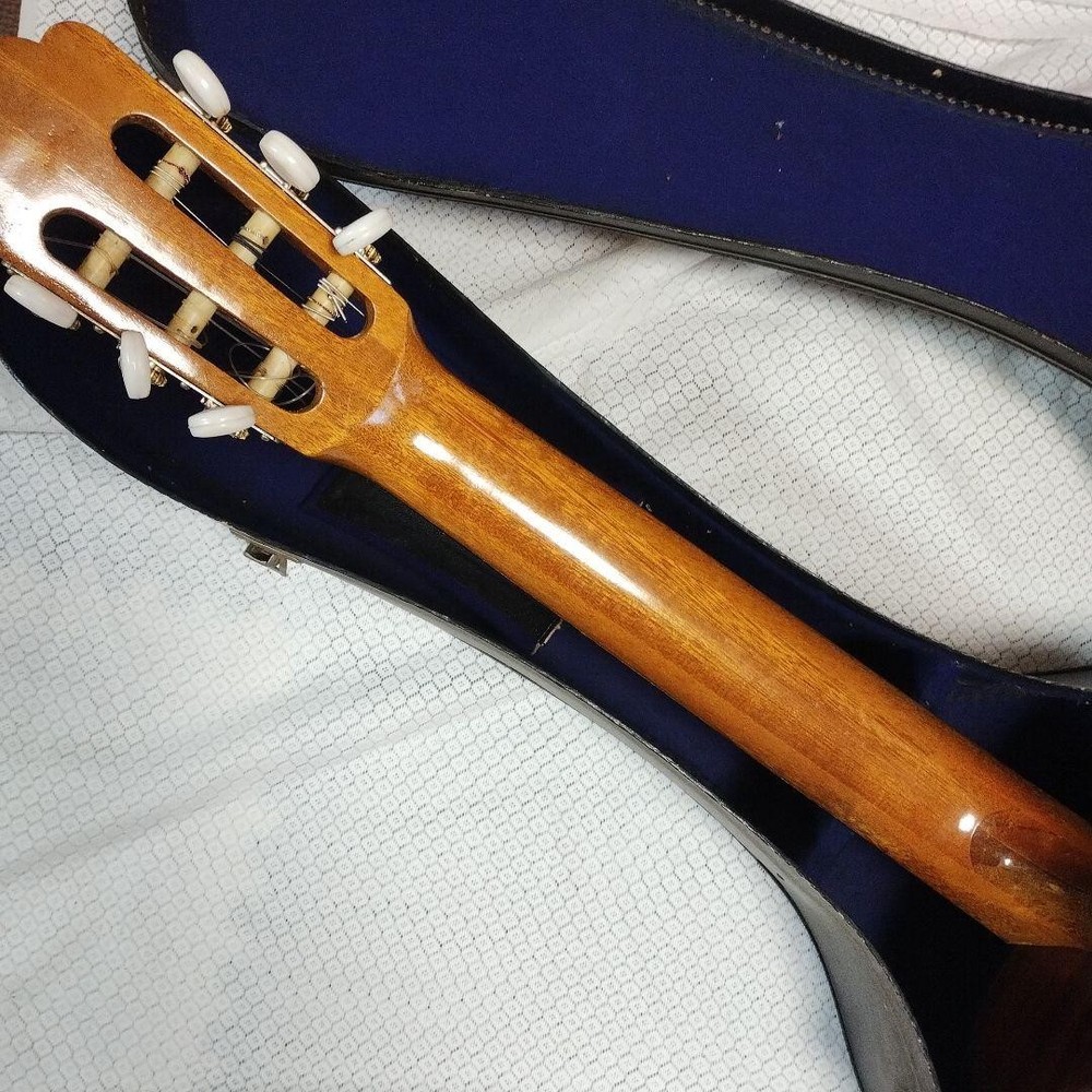 Classical Guitar with Case 6 Strings
