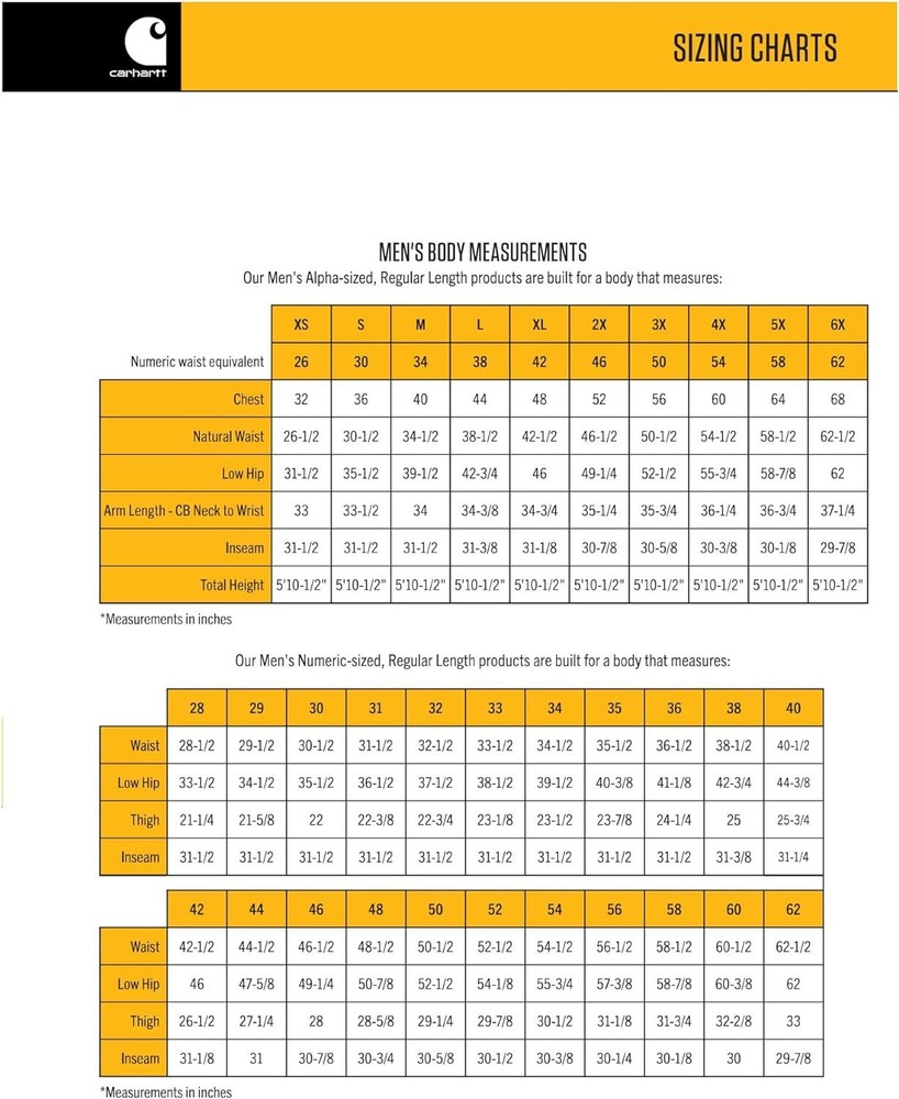 Carhartt mens Cotton Canvas Cap One Size, Black