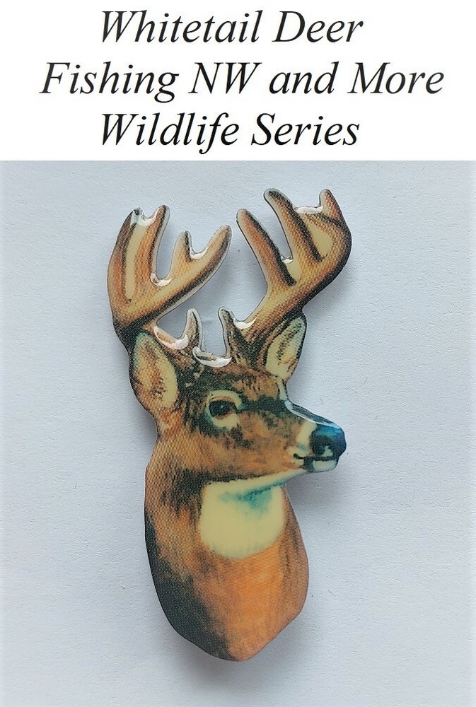 "1" Elk - Wildlife - Series