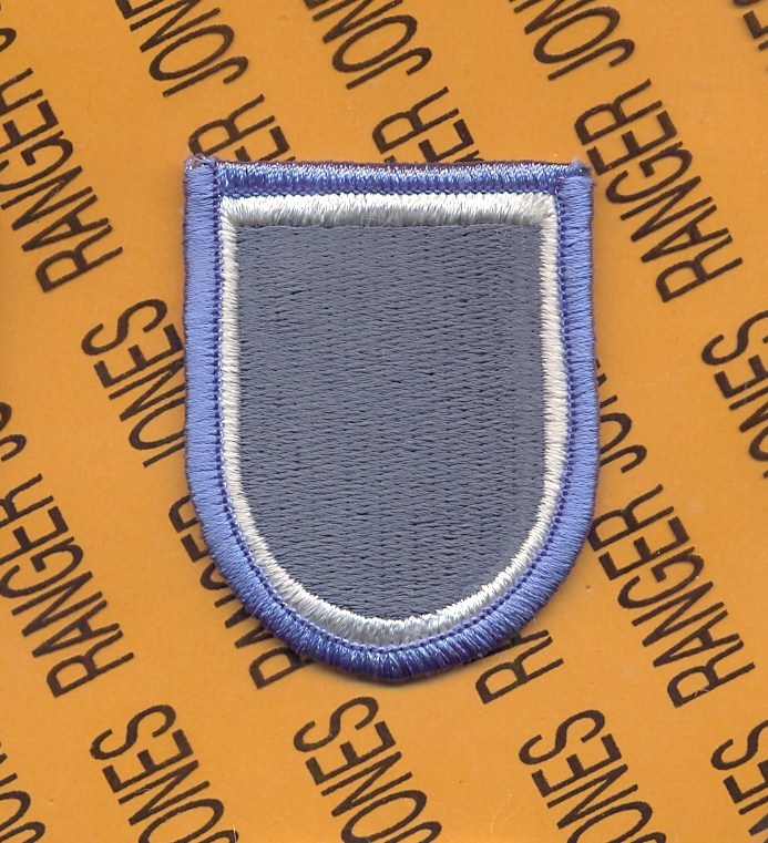 110th MI Bn LRS Long Range Surveillance Airborne beret flash patch #2 m/e