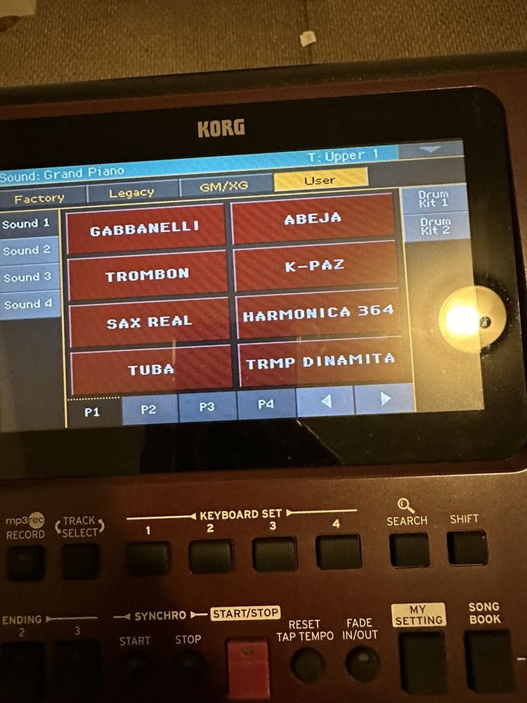 Samples  Profesionales Para korg Pa 700,1000,4X. En Una USB (171 samples )