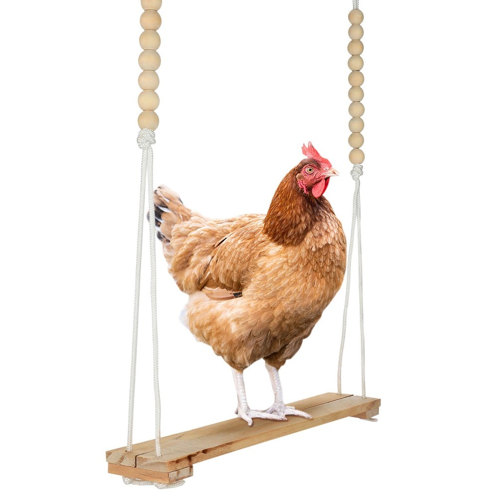 Chicken Swing