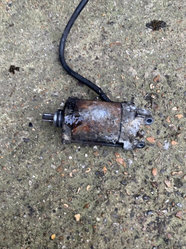 Honda NTV600 Starter Motor