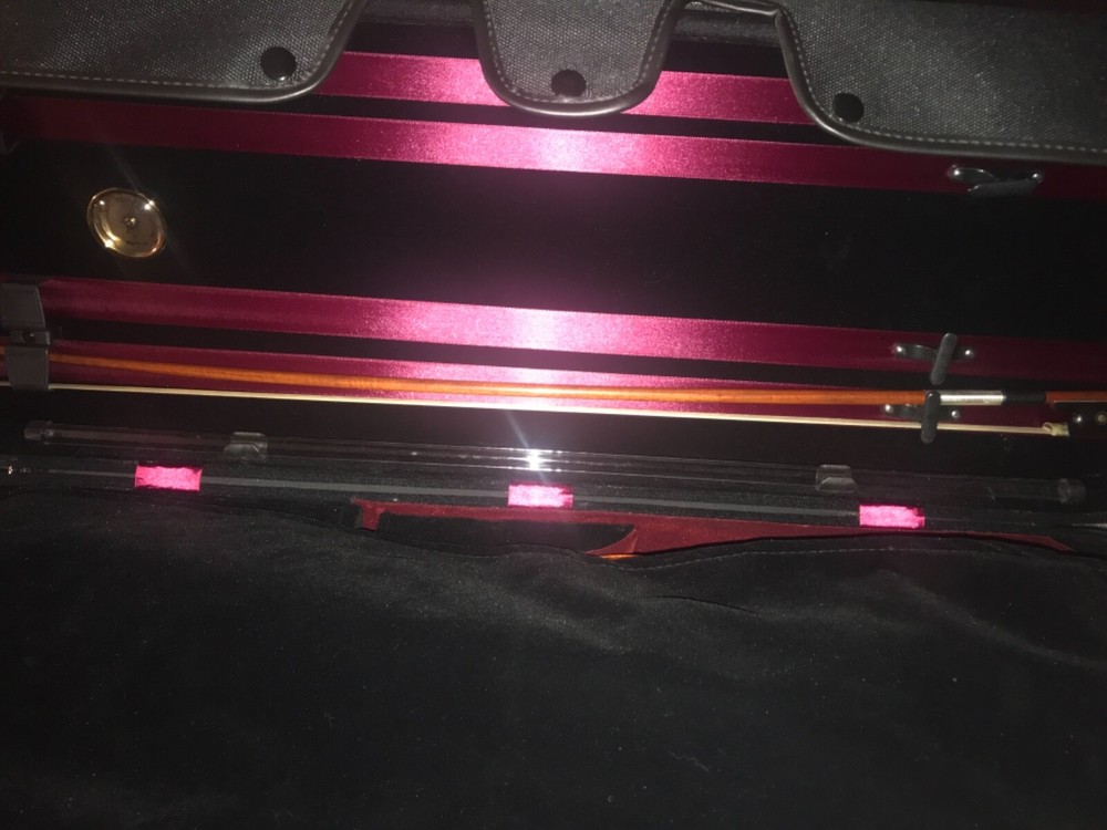 Never used viola, case and bows