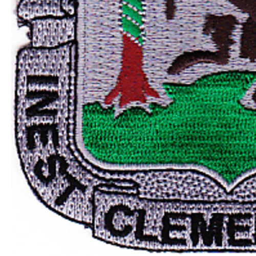 61st Medical Battalion Patch