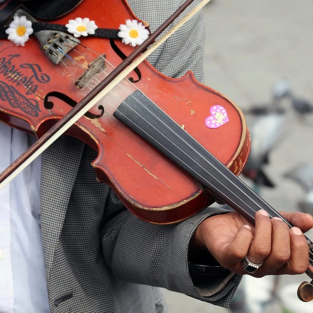 12PCS Violin Strings 4/4 Full Set Steel Core Replacement Strings