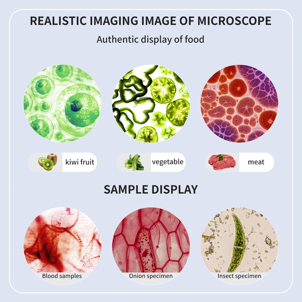 40X - 2000X Zoom Binocular Optical Microscope Laboratory Binocular Biological Mi