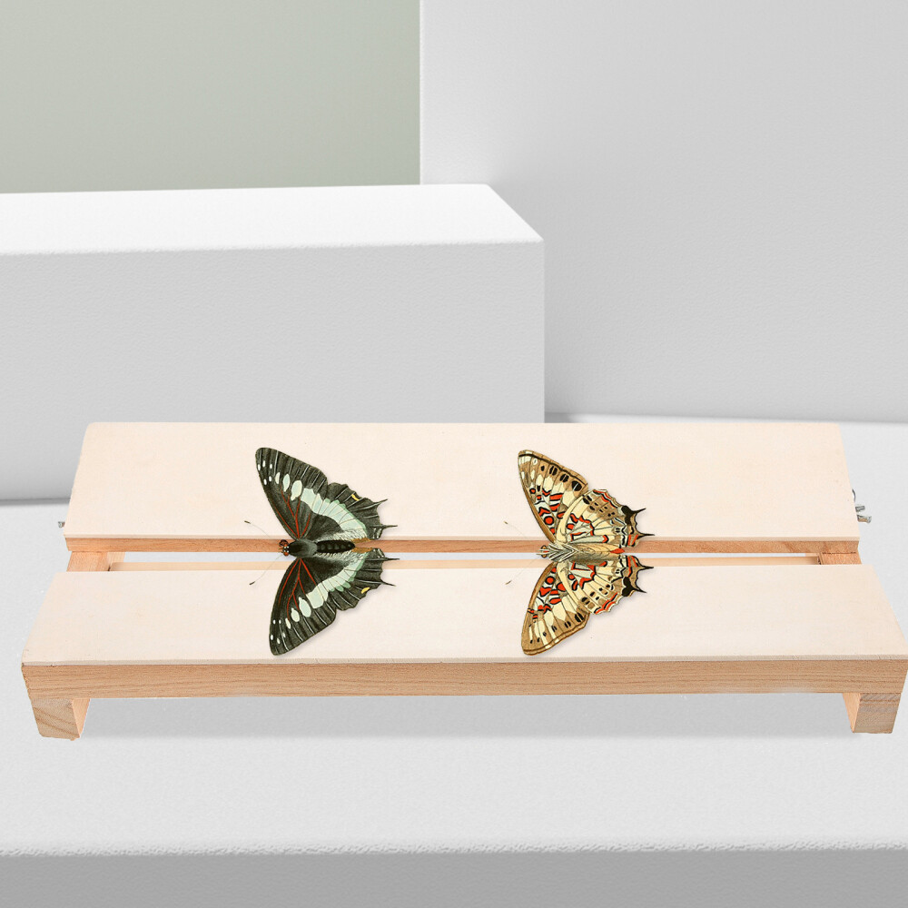 Insect Pinning Board Specimen Display Board Adjustable Labs Board for Education