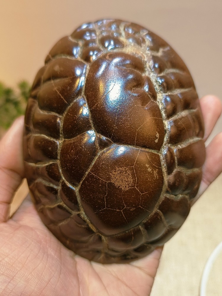 China Natural stone "tortoise back pattern" stone Moire stone 106834